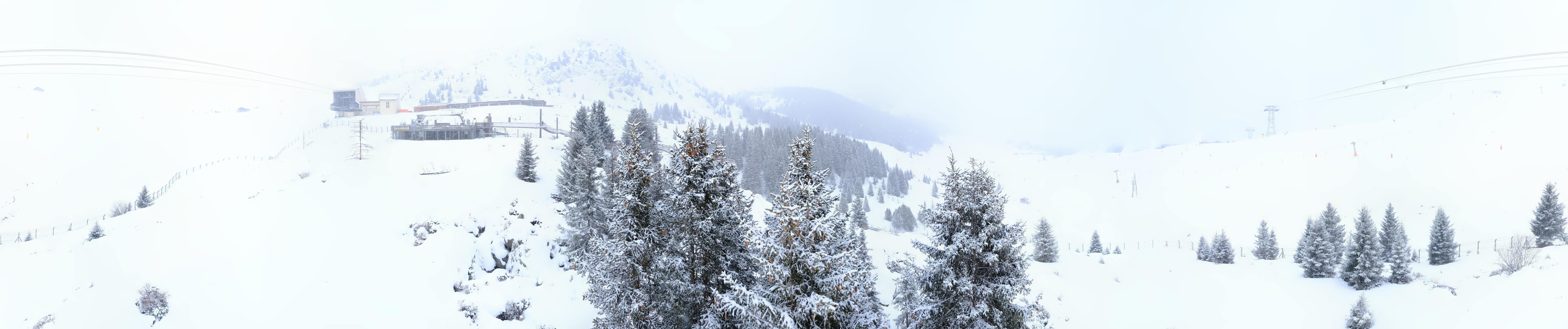 Archived image Webcam Arosa Bear Sanctuary