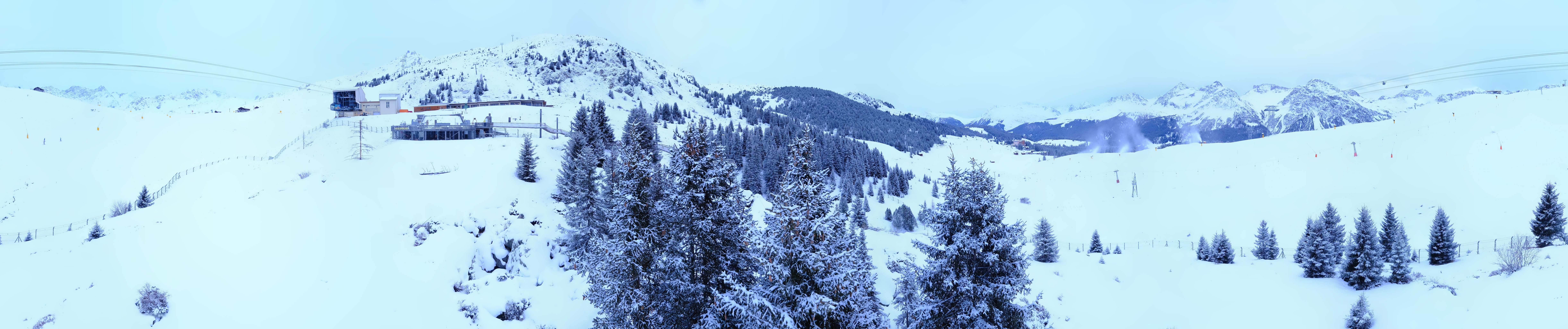 Archived image Webcam Arosa Bear Sanctuary