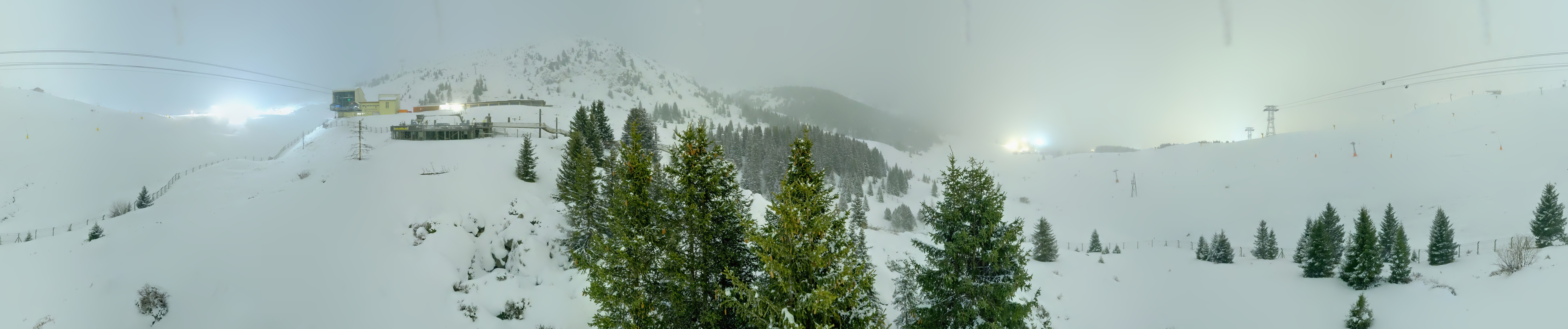 Archived image Webcam Arosa Bear Sanctuary