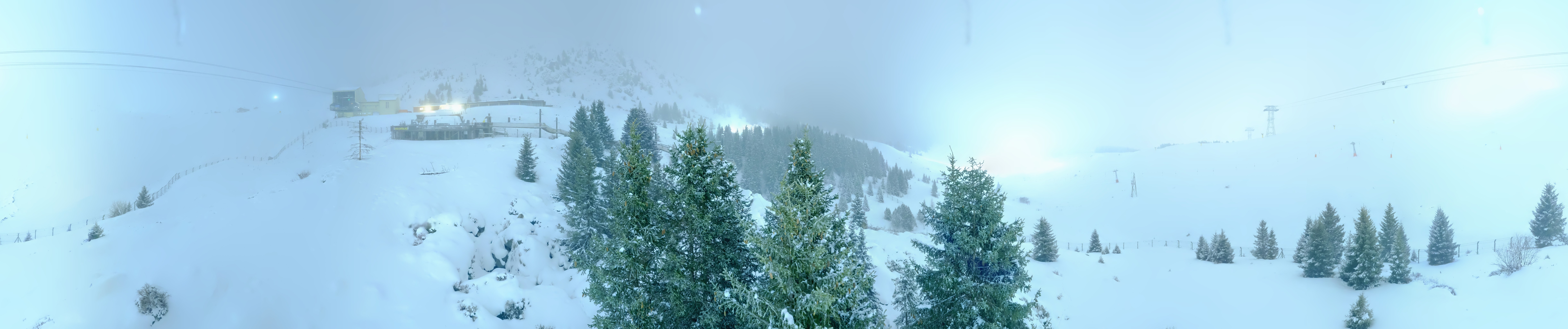 Archived image Webcam Arosa Bear Sanctuary