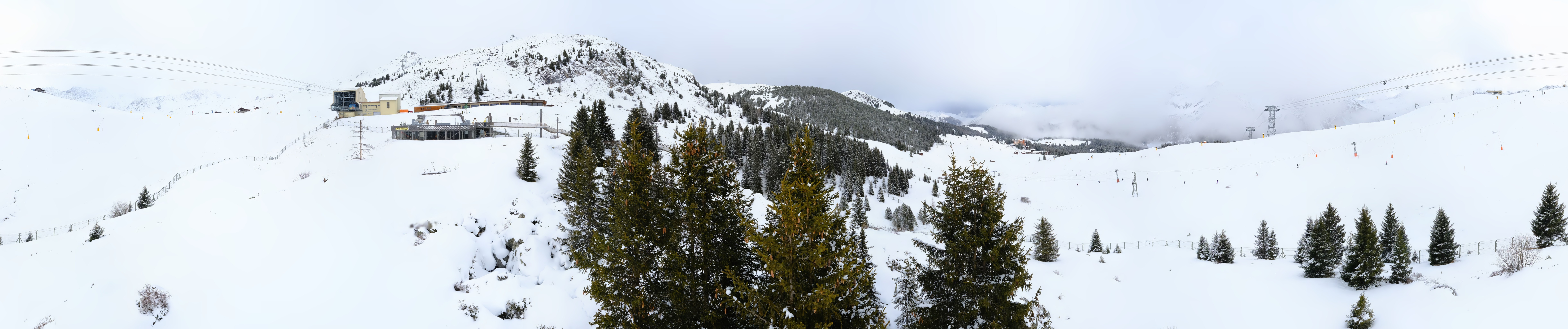 Archived image Webcam Arosa Bear Sanctuary