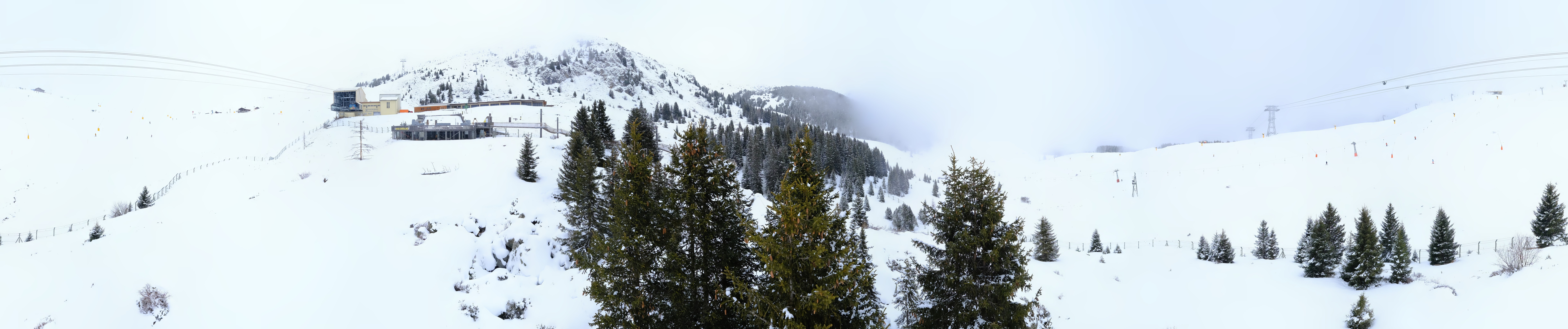 Archived image Webcam Arosa Bear Sanctuary