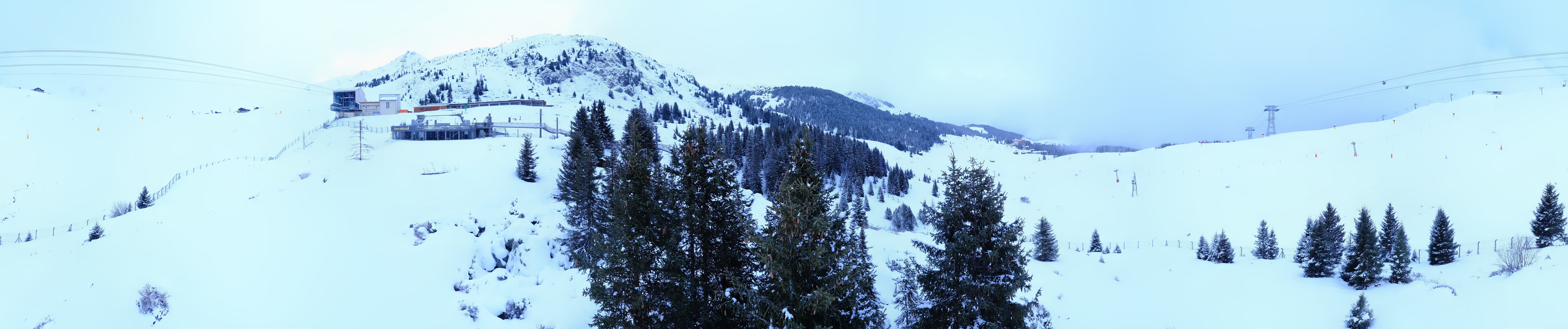 Archived image Webcam Arosa Bear Sanctuary