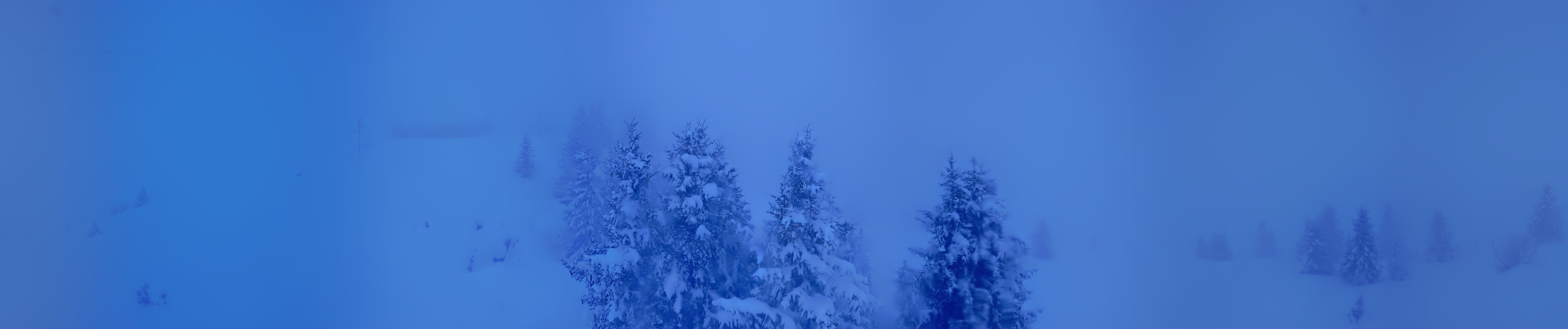 Archiv Foto Webcam Arosa Bärenland