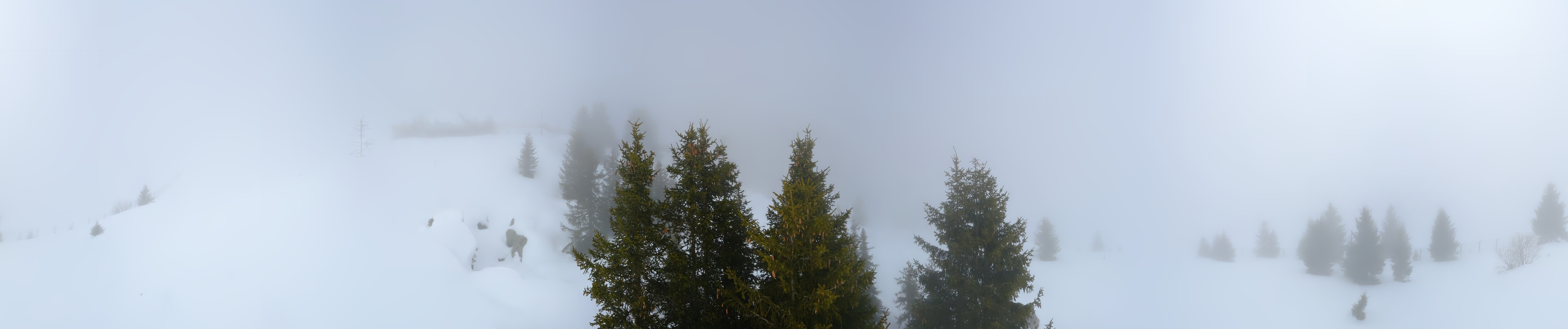 Archiv Foto Webcam Arosa Bärenland