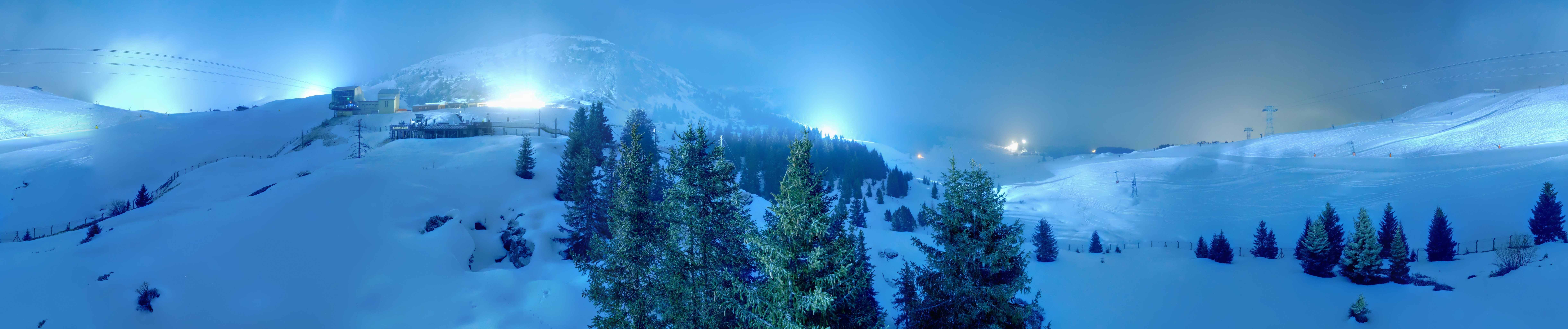 Archived image Webcam Arosa Bear Sanctuary