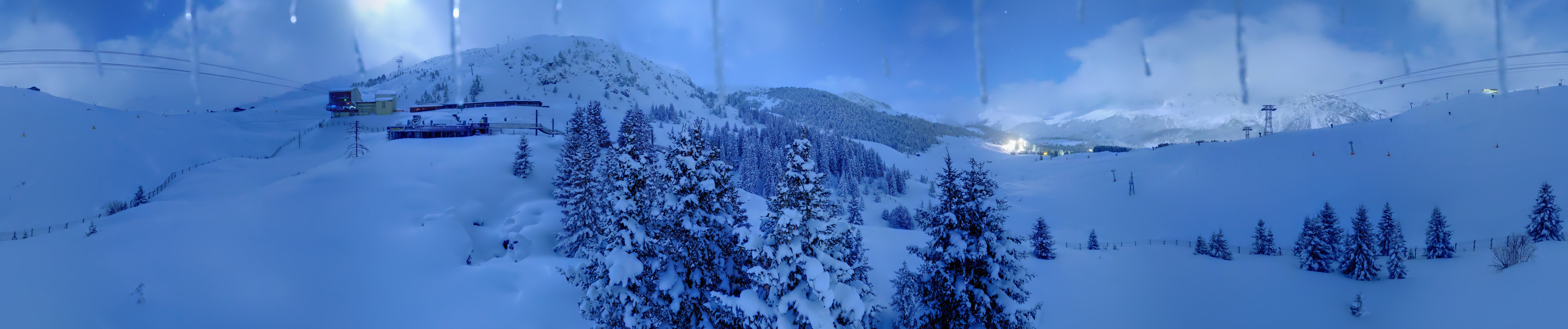 Archived image Webcam Arosa Bear Sanctuary