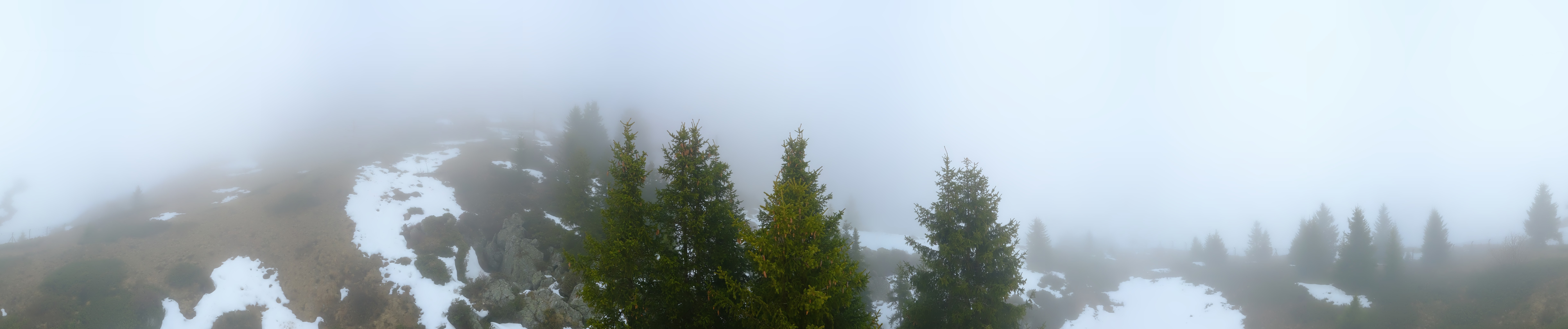 Archiv Foto Webcam Arosa Bärenland