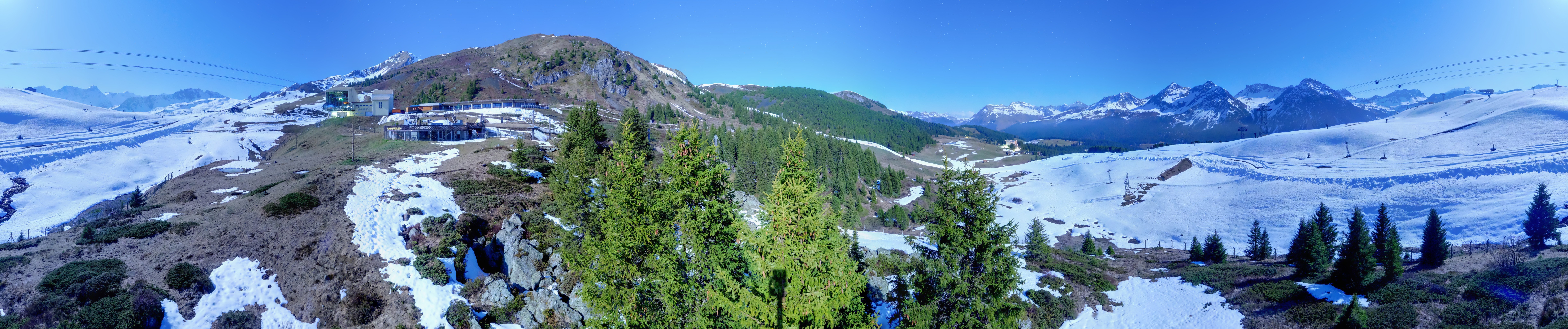 Archived image Webcam Arosa Bear Sanctuary