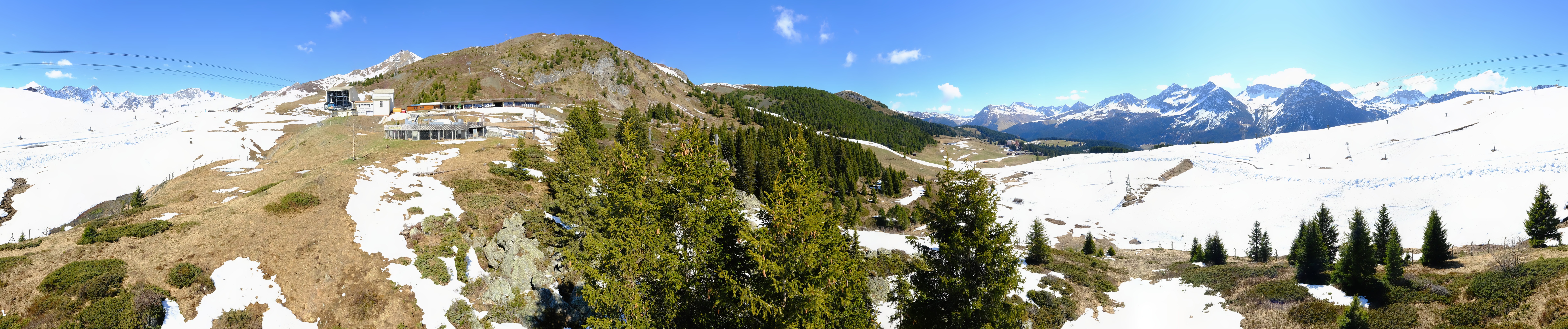 Archived image Webcam Arosa Bear Sanctuary