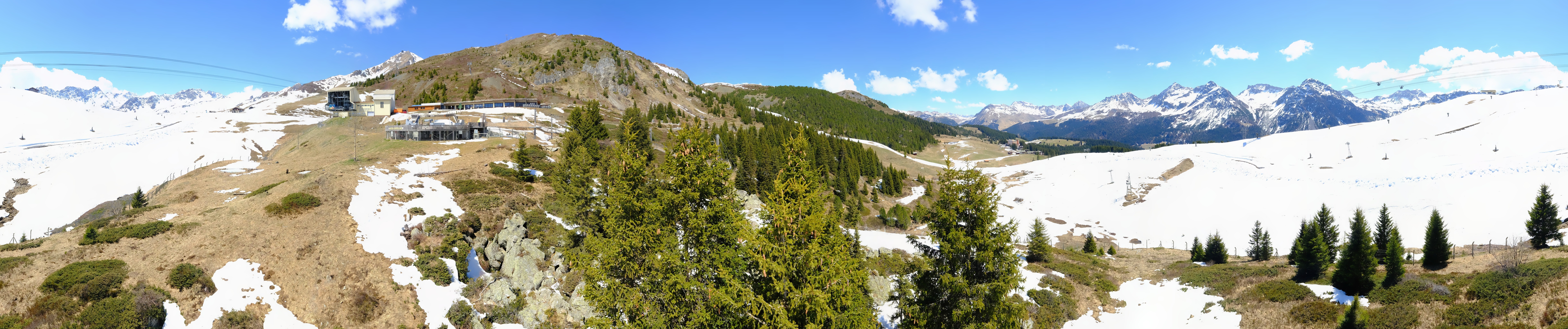 Archived image Webcam Arosa Bear Sanctuary