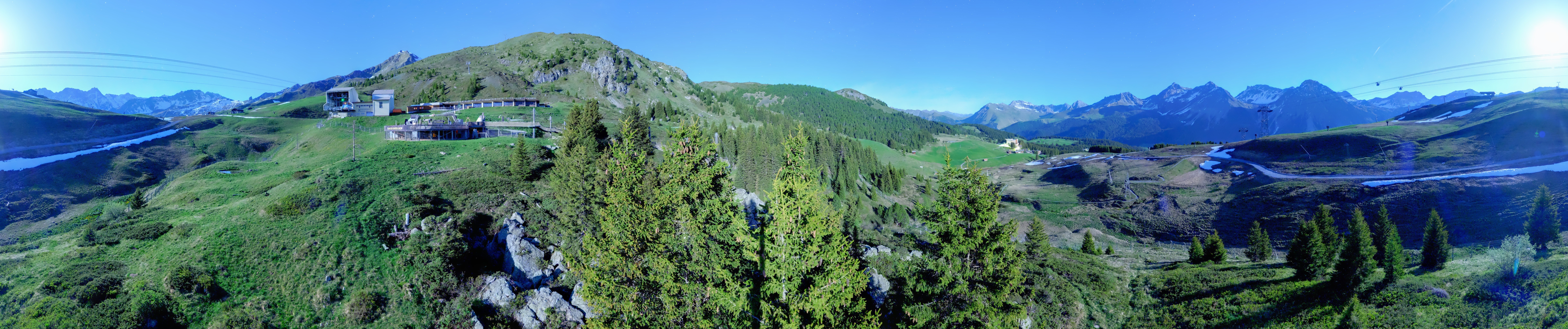 Archived image Webcam Arosa Bear Sanctuary