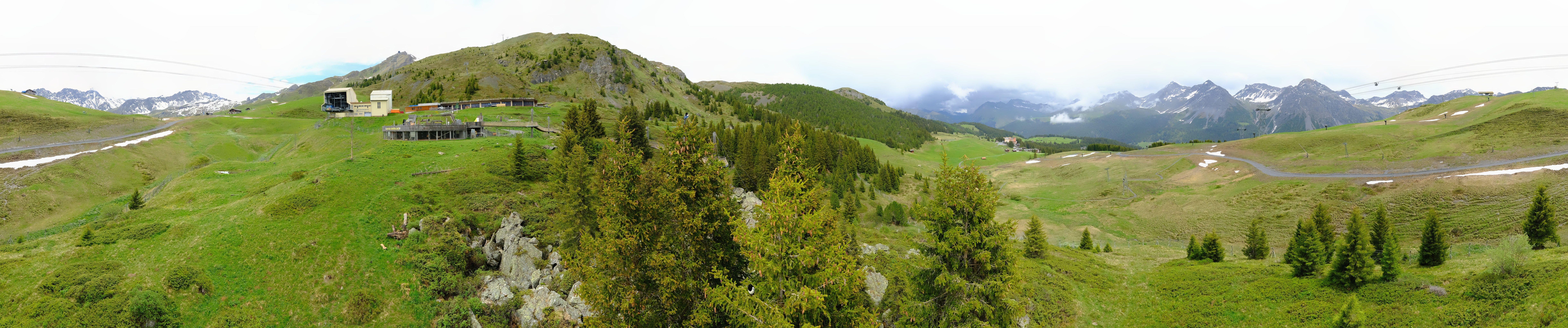 Archived image Webcam Arosa Bear Sanctuary