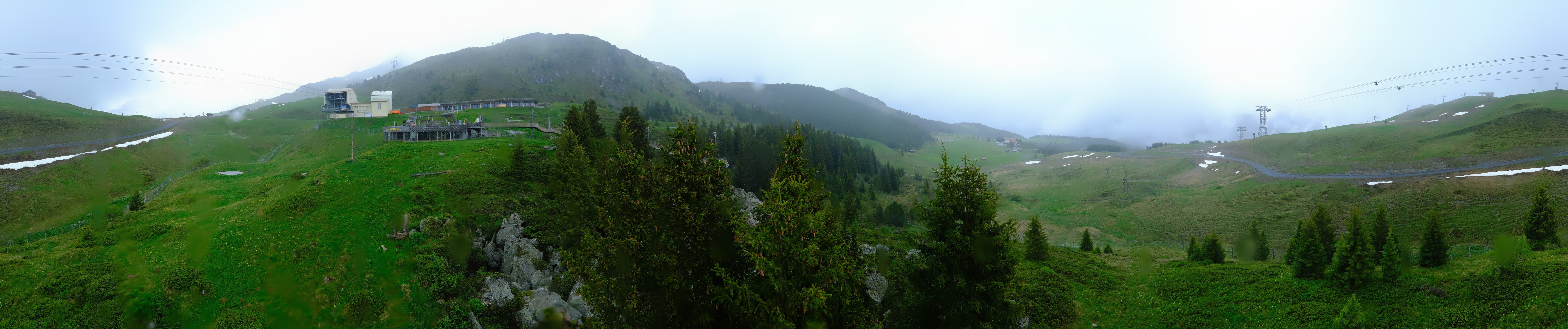 Archived image Webcam Arosa Bear Sanctuary