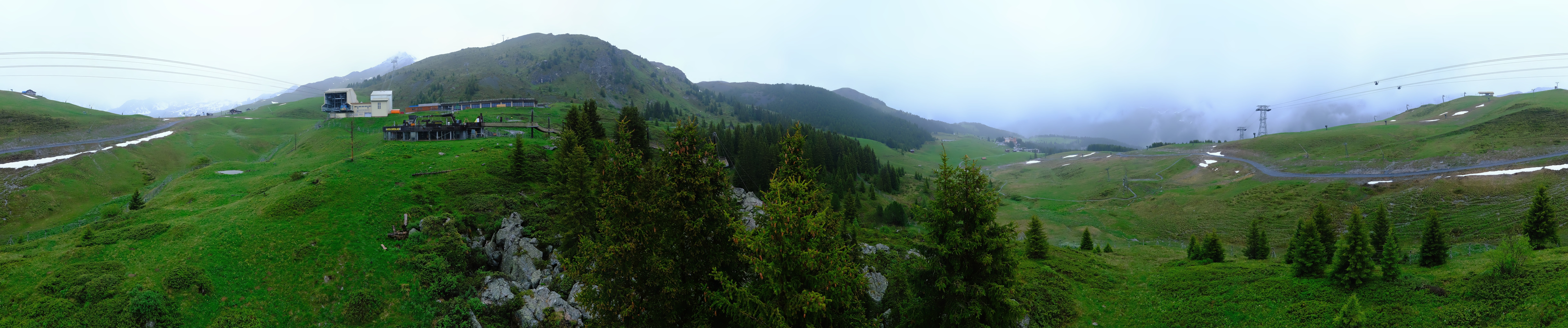Archived image Webcam Arosa Bear Sanctuary