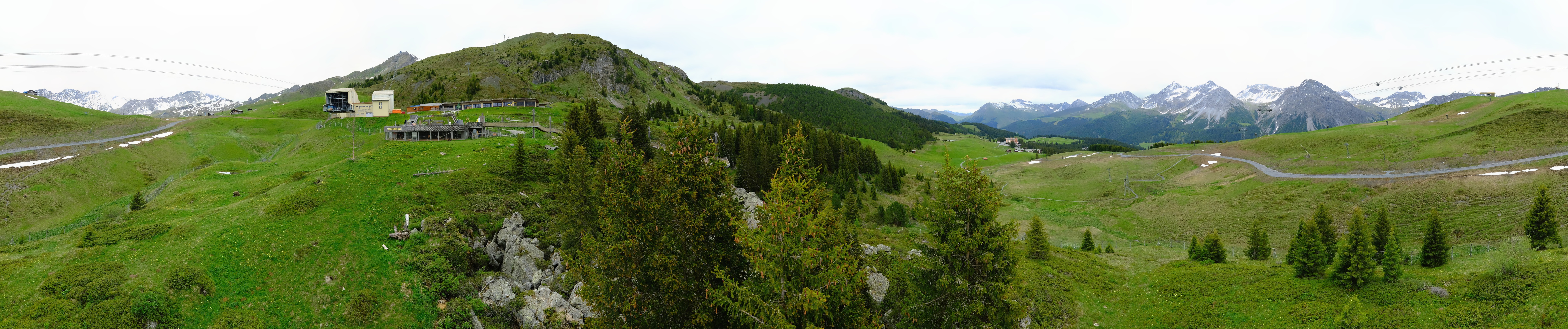 Archived image Webcam Arosa Bear Sanctuary