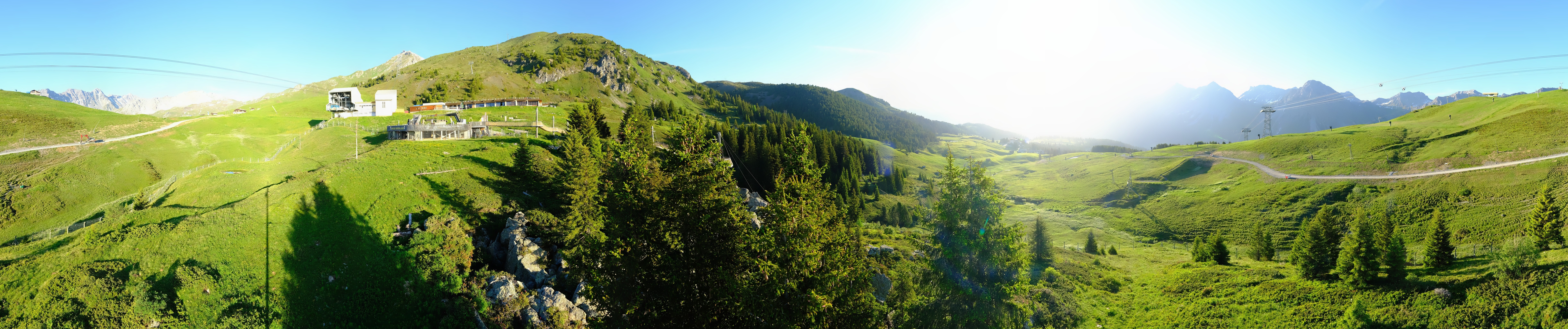 Archived image Webcam Arosa Bear Sanctuary