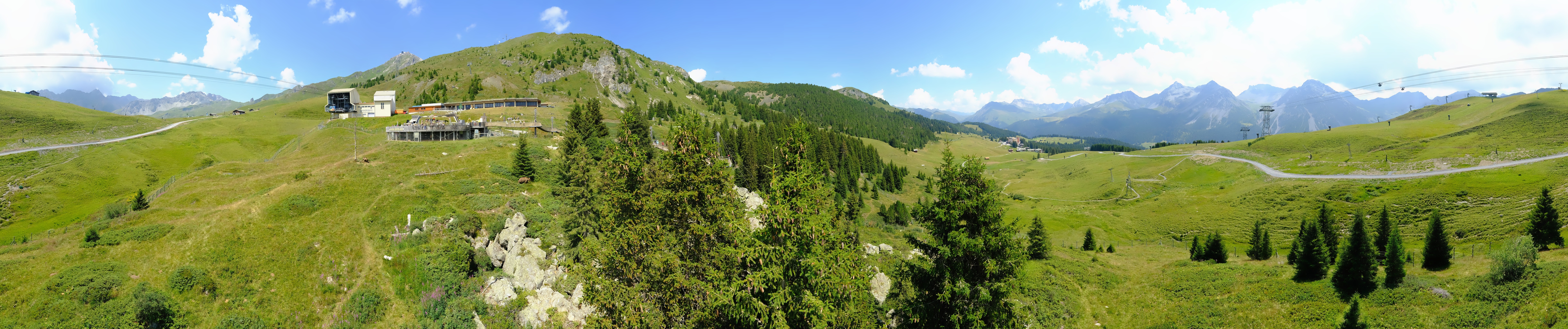 Archived image Webcam Arosa Bear Sanctuary