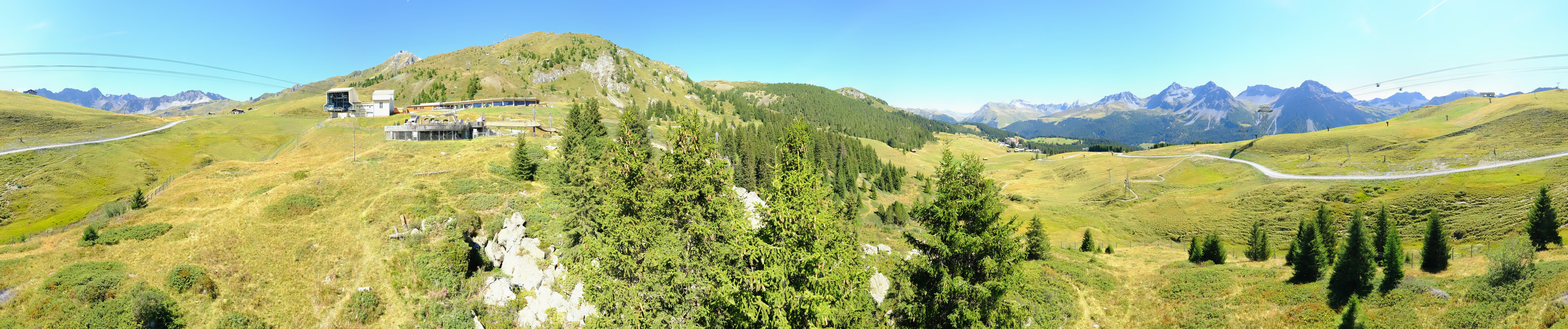Archived image Webcam Arosa Bear Sanctuary