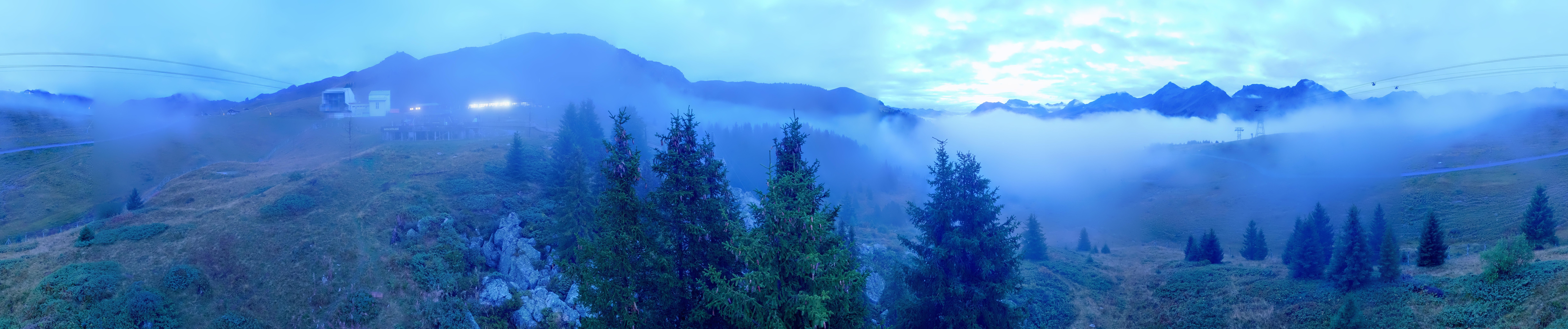 Archived image Webcam Arosa Bear Sanctuary