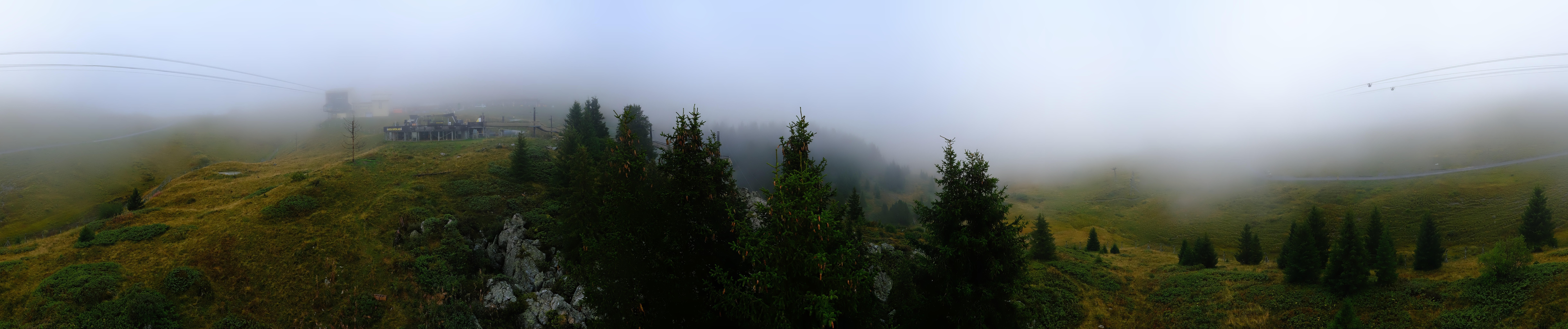 Archived image Webcam Arosa Bear Sanctuary