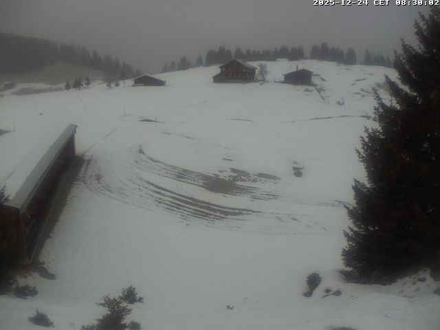 Archiv Foto Webcam Golfhaus in Arosa