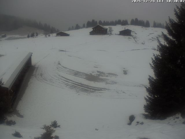 Archiv Foto Webcam Golfhaus in Arosa