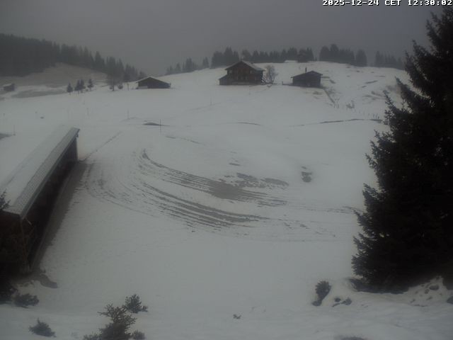 Archiv Foto Webcam Golfhaus in Arosa