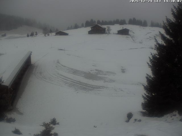 Archiv Foto Webcam Golfhaus in Arosa