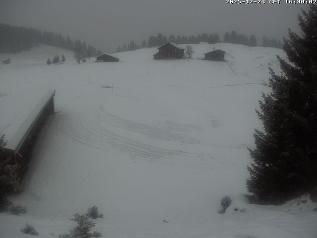 Archiv Foto Webcam Golfhaus in Arosa