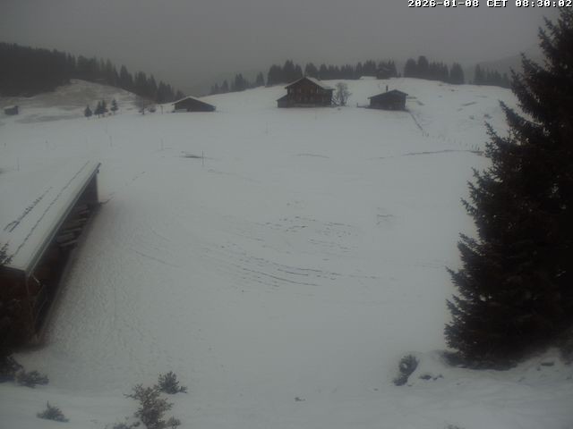 Archiv Foto Webcam Golfhaus in Arosa