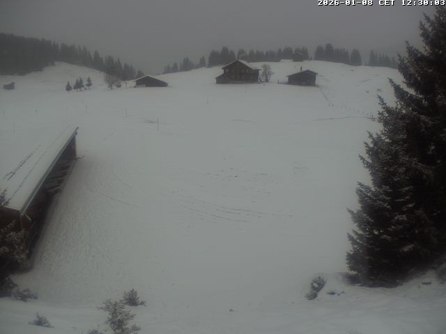 Archiv Foto Webcam Golfhaus in Arosa