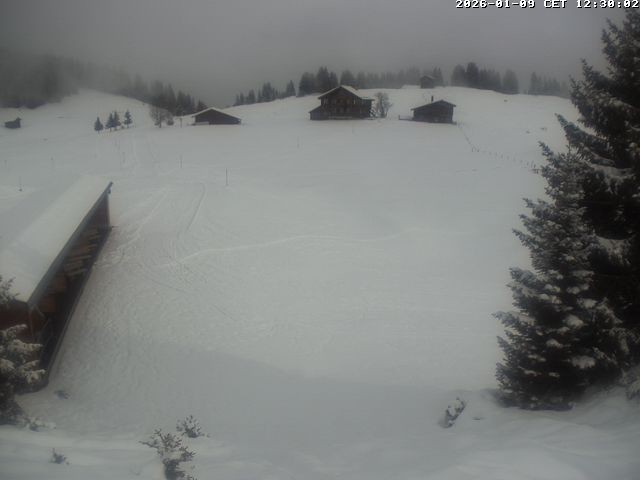 Archiv Foto Webcam Golfhaus in Arosa