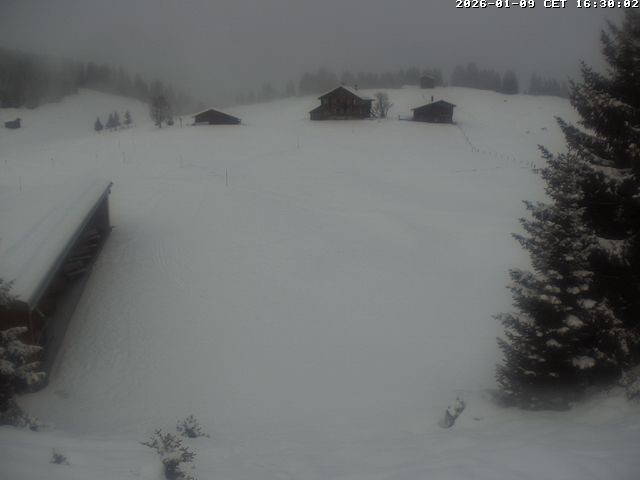 Archiv Foto Webcam Golfhaus in Arosa