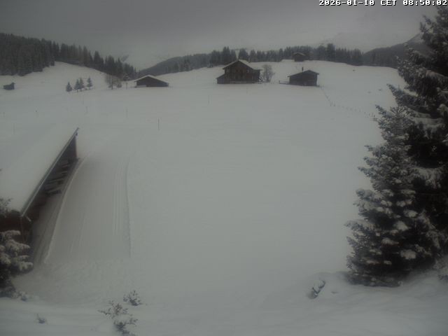 Archiv Foto Webcam Golfhaus in Arosa