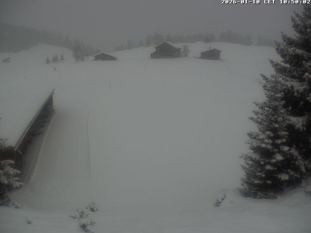 Archiv Foto Webcam Golfhaus in Arosa