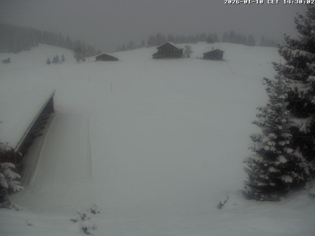 Archiv Foto Webcam Golfhaus in Arosa