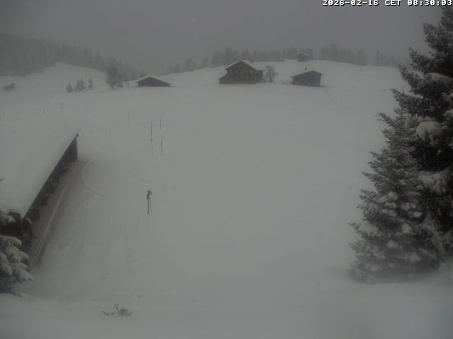 Archiv Foto Webcam Golfhaus in Arosa
