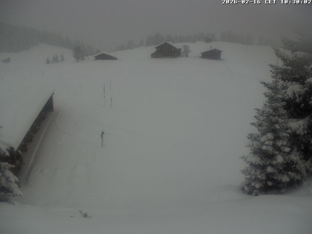 Archiv Foto Webcam Golfhaus in Arosa