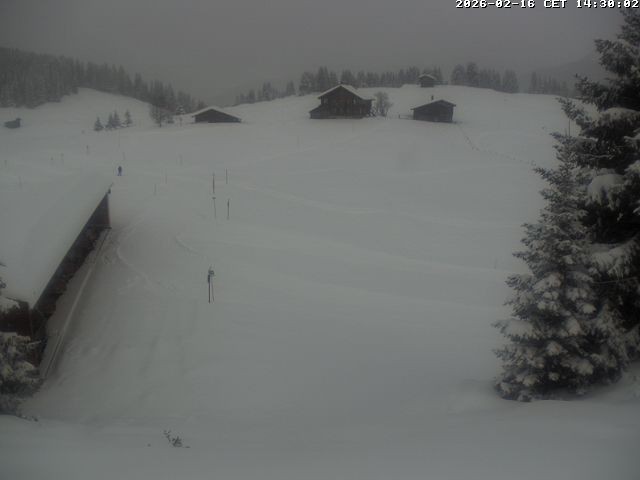 Archiv Foto Webcam Golfhaus in Arosa