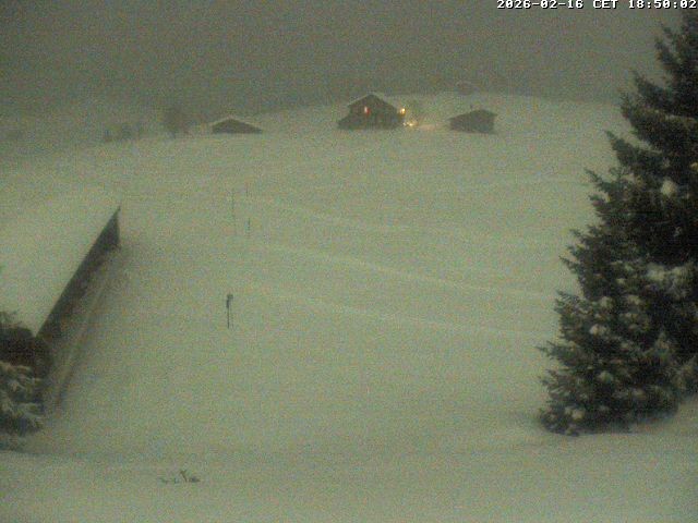 Archiv Foto Webcam Golfhaus in Arosa
