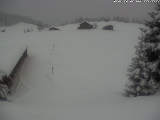 Archiv Foto Webcam Golfhaus in Arosa