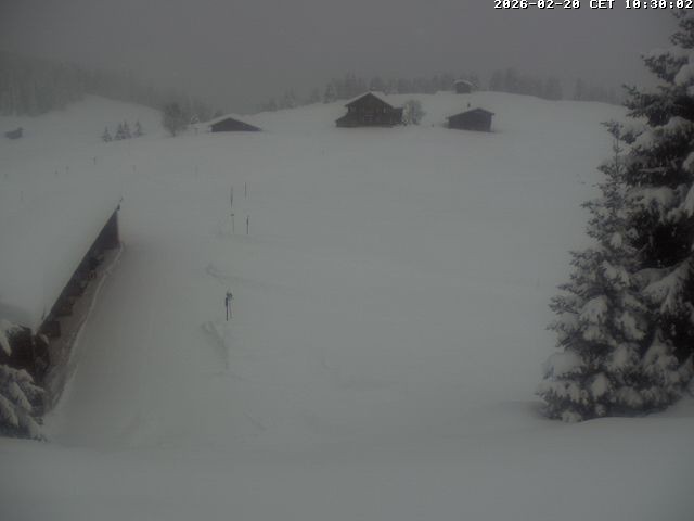 Archiv Foto Webcam Golfhaus in Arosa
