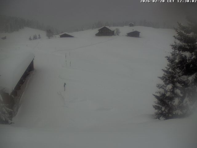 Archiv Foto Webcam Golfhaus in Arosa