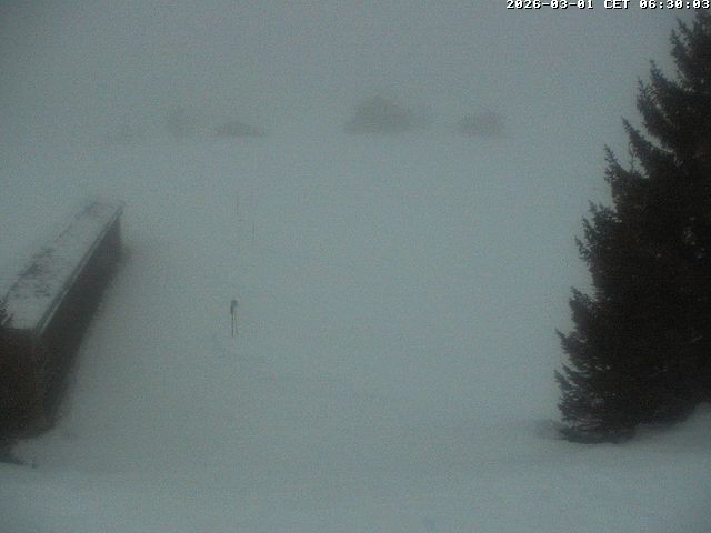 Archiv Foto Webcam Golfhaus in Arosa