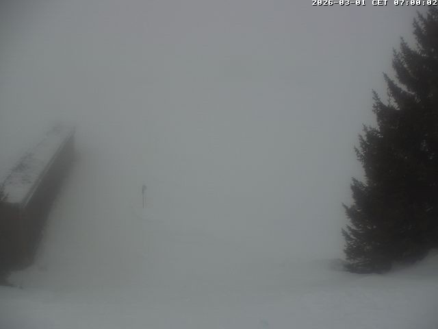 Archiv Foto Webcam Golfhaus in Arosa