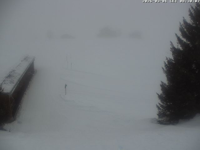 Archiv Foto Webcam Golfhaus in Arosa