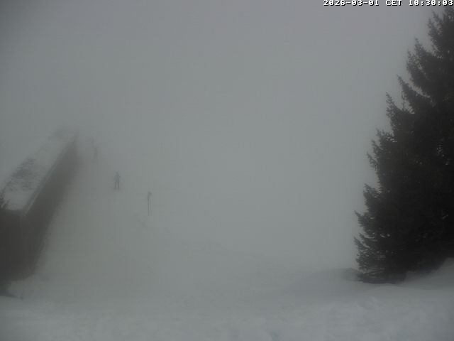 Archiv Foto Webcam Golfhaus in Arosa