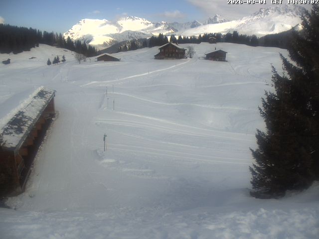 Archiv Foto Webcam Golfhaus in Arosa