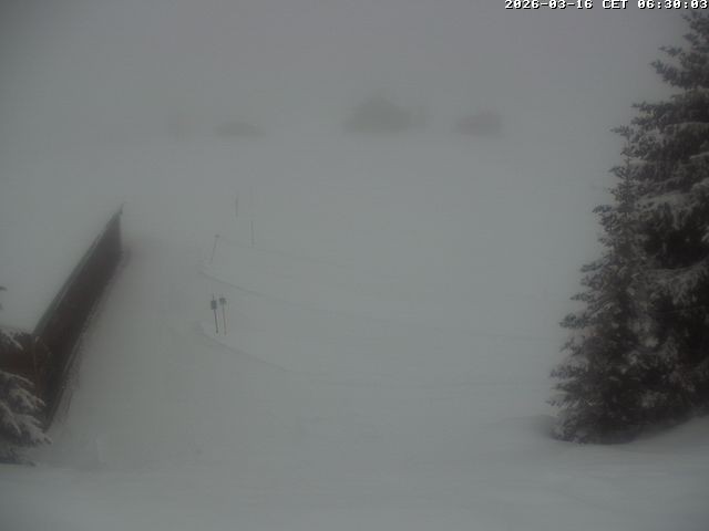 Archiv Foto Webcam Golfhaus in Arosa